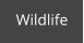 Wildlife